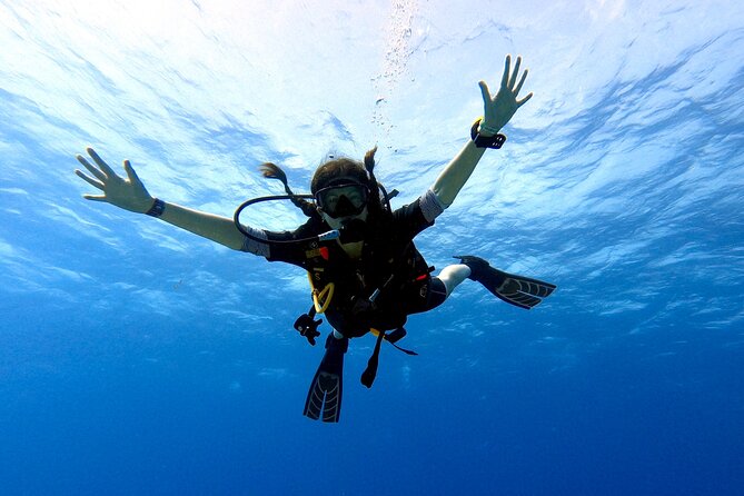 Discover Scuba Diving in Cozumel - Is the session good value?