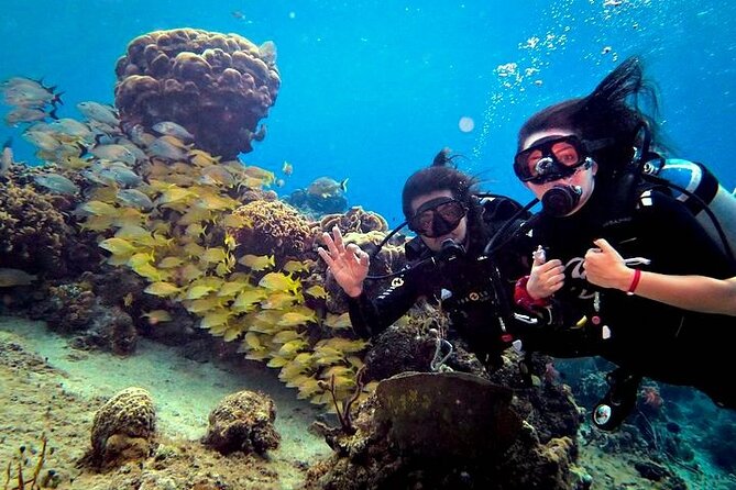 Discover Scuba Diving in Cozumel Paradise Reef - The guides make the biggest difference