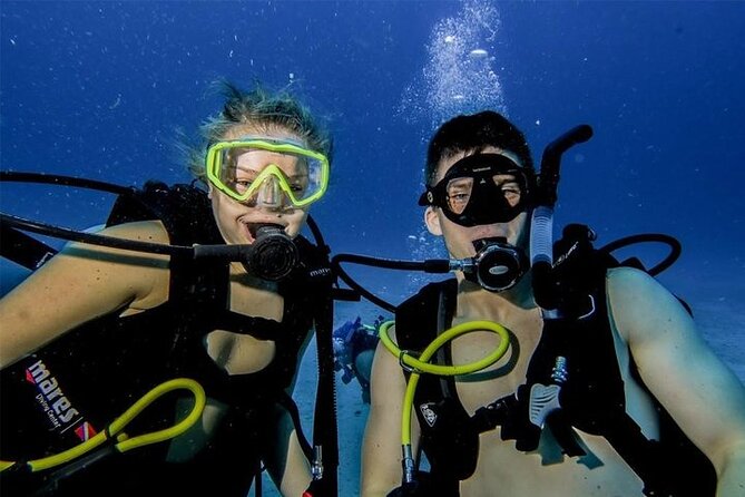 Discover Scuba Diving in Cozumel Paradise Reef - Is the experience good value?