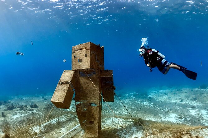 Diving For People Without Experience - The 8-meter route keeps the outing manageable