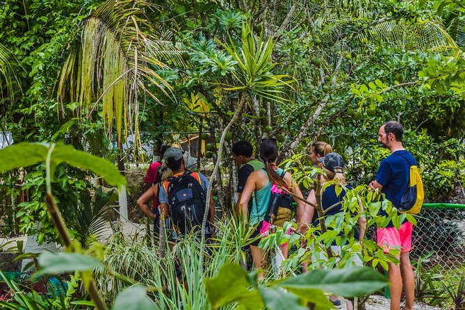 E-Bike Adventure in Cozumel - West Side Ride N' Snorkel - Bahía de Uvas as the weather backup