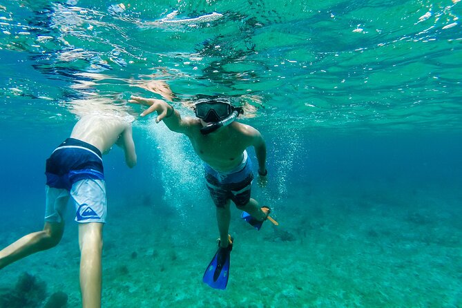 E-bike West Coast Snorkeling Tour - Who will enjoy this Cozumel outing most?