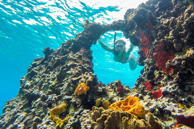 E-bike West Coast Snorkeling Tour - Cenote Aerolito de Paraiso: a cool break from the road