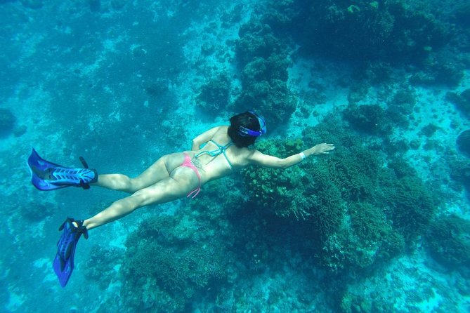 El Cielo and Snorkel Private Excursion - Morning or afternoon: choose around your day