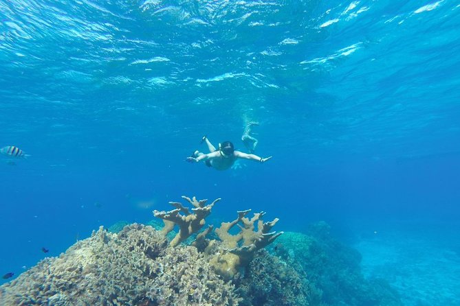 El Cielo and Snorkel Private Excursion - The biggest issue is not the water