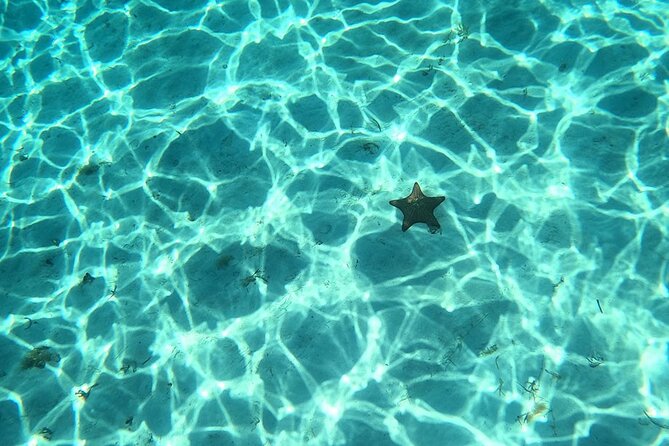 El Cielo and Snorkeling for Cruise Ship Passengers - Why El Cielo makes this Cozumel trip appealing