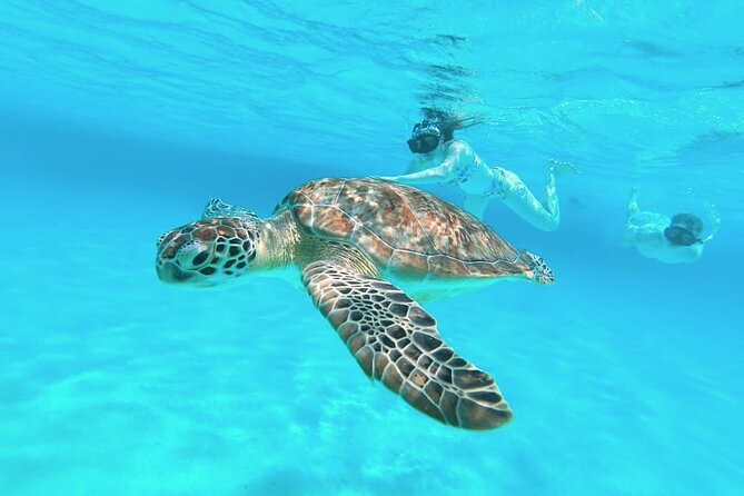 El Cielo Cozumel Snorkel Private Boat + Food + Drinks + Beach - Why the private format matters in Cozumel