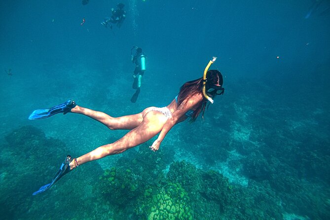 El Cielo Cozumel Snorkel Private Boat + Food + Drinks + Beach - Stop three: El Cielo’s starfish shallows