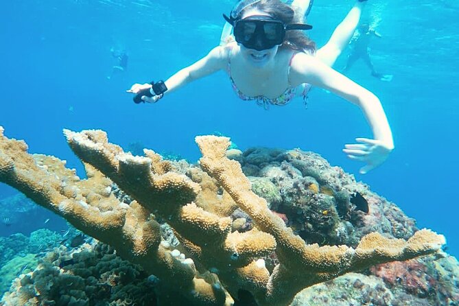 El Cielo Cozumel Snorkel Private Boat + Food + Drinks + Beach - Starting at San Francisco Beach Club