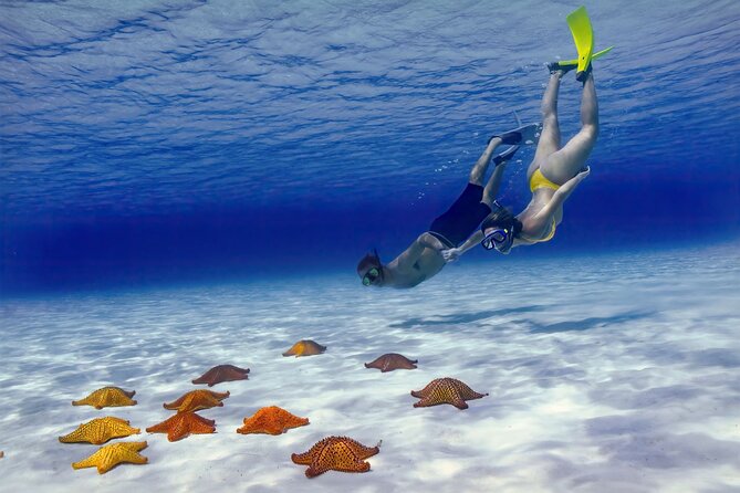 El Cielo Cozumel Snorkel Share Boat + Reefs + Food Drinks + Beach - Palancar Reef and Colombia Reef