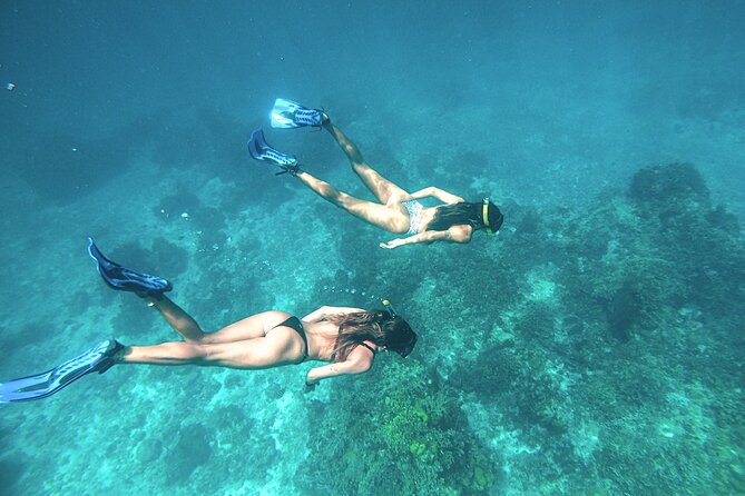 El Cielo Cozumel Snorkel Share Boat + Reefs + Food Drinks + Beach - Timing, taxis, and cruise-day planning
