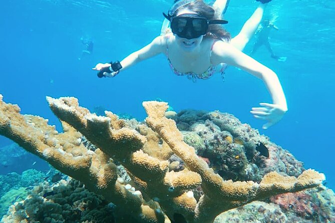 El Cielo Cozumel Snorkel Share Boat + Reefs + Food Drinks + Beach - Weather can change the whole outing