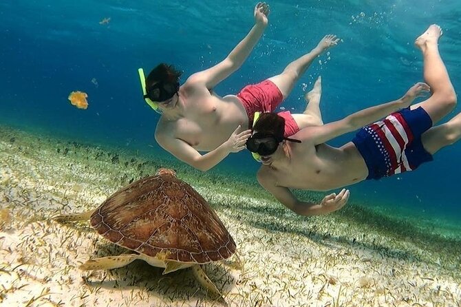 El Cielo Cozumel Snorkel tour by Catamaran - What the four-hour Cozumel catamaran trip is really like