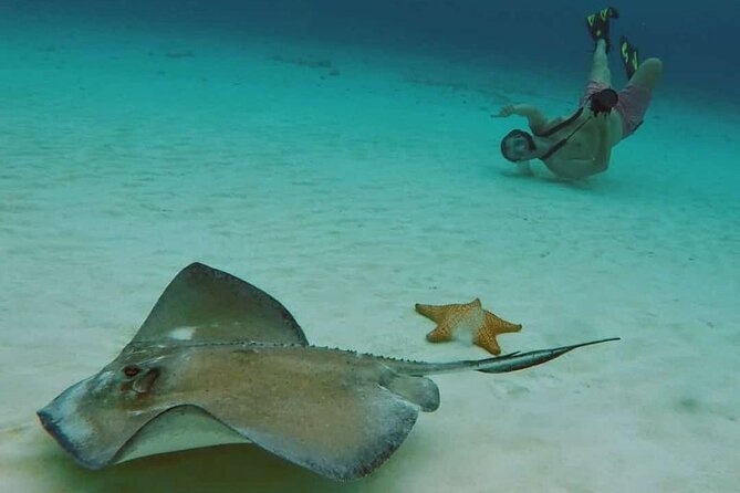 El Cielo Cozumel Snorkel tour by Catamaran - Columbia Reef adds fish and a second chance