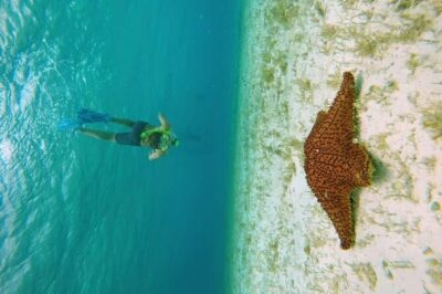 El Cielo Cozumel Snorkel tour by Catamaran