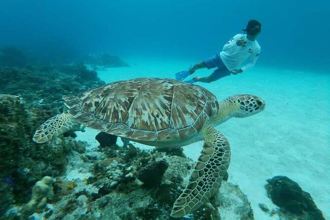 El Cielo Cozumel Snorkel tour by Catamaran - Boat comfort, safety, and a few rough edges