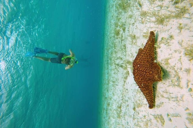 El Cielo Cozumel Snorkel tour by Catamaran - Palancar Reef brings the first serious snorkeling