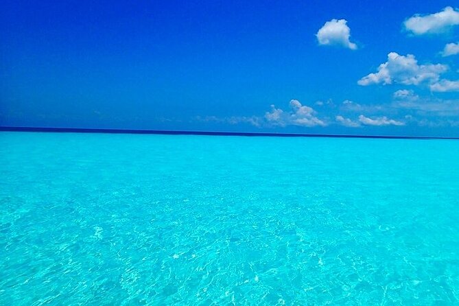 El Cielo Cozumel Snorkeling Tour - All-Inclusive - Is the all-inclusive price good value?