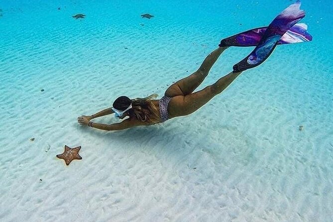 El Cielo Cozumel Snorkeling Tour - All-Inclusive - FAQ