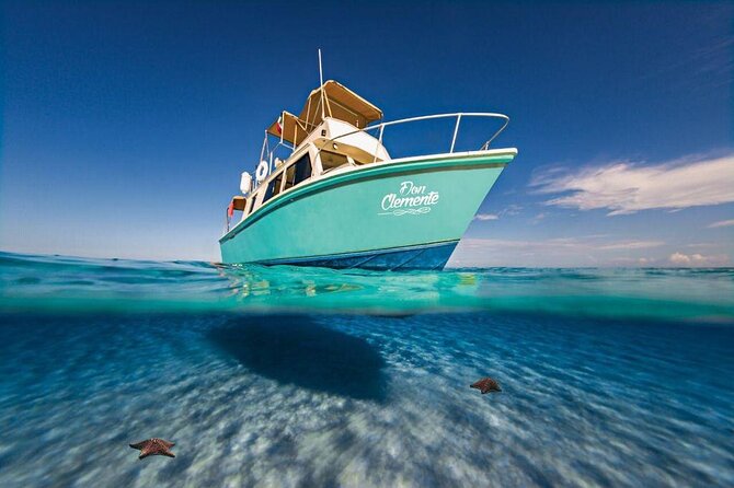 El Cielo Cozumel Snorkeling Tour - All-Inclusive - Guides who can make the difference