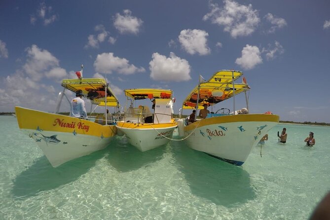 El Cielo Cozumel Snorkeling tour by Private Boat - Why El Cielo makes such a good final stop