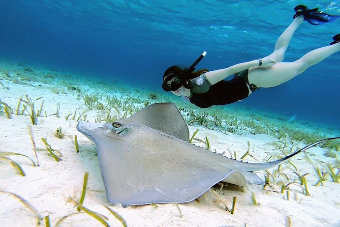 El Cielo Cozumel Snorkeling tour by Private Boat - What the other named reef stops really mean