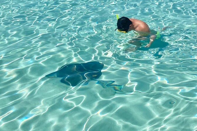 El Cielo Cozumel Snorkeling tour by Private Boat - Cruise passengers need a careful time plan