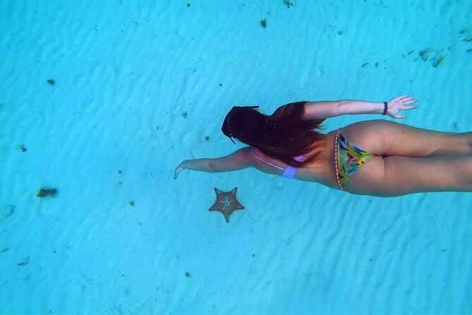 El Cielo Cozumel Snorkeling trip by Catamaran - What this four-hour Cozumel trip is really about