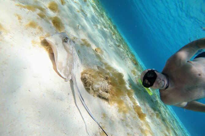 El Cielo Cozumel Snorkeling trip by Catamaran - The catamaran question