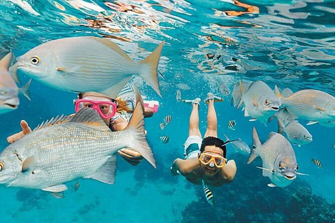 El Cielo Palancar and Columbia Snorkeling Tour - Three Cozumel water stops in four hours
