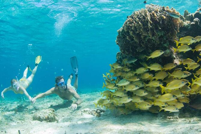 El Cielo Palancar and Columbia Snorkeling Tour - What the $74.63 price really includes