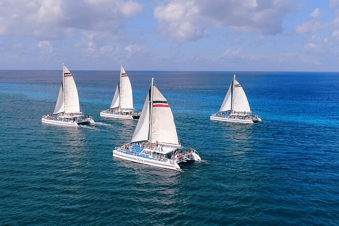 El Cielo, Palancar Snorkel & Beach Party Experience - Lunch, drinks, and what you actually get