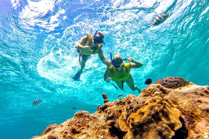 El Cielo Snorkel by Private Boat - Safety, comfort, and who should skip it