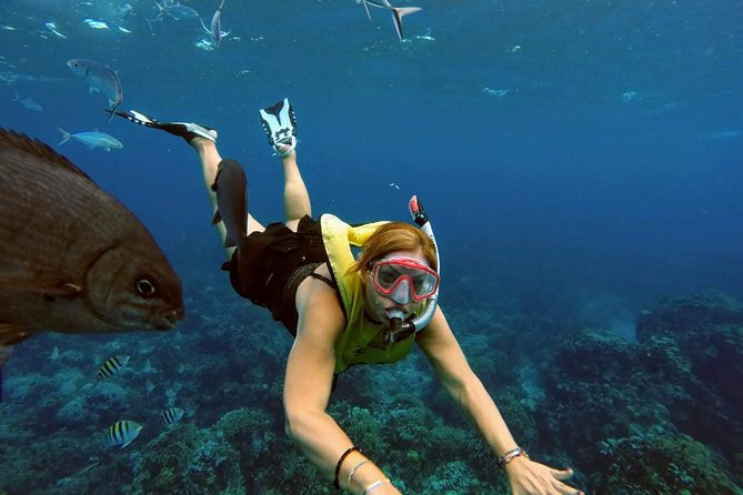 El Cielo Snorkel by Private Boat - The crew is a major part of the experience