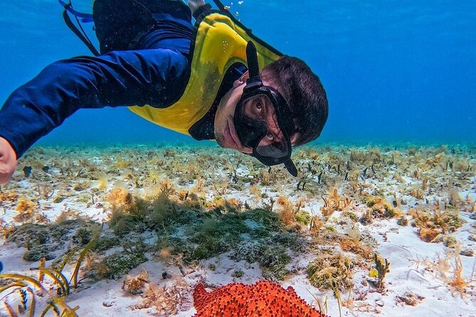 El Cielo Snorkeling Adventure in Cozumel - Four stops, one long afternoon on Cozumel’s water