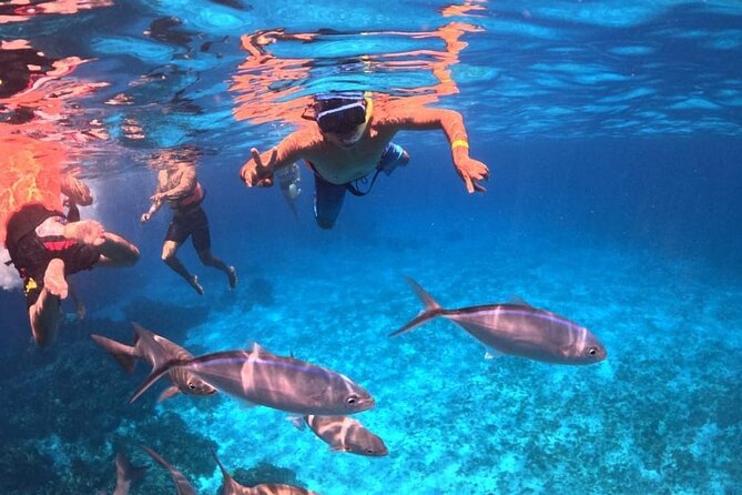 El Cielo Snorkeling Adventure in Cozumel - Food and drinks make the $28 price more useful