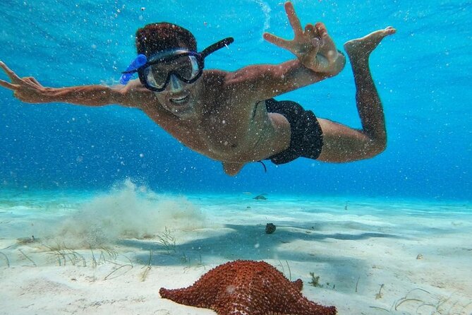 El Cielo Snorkeling Adventure in Cozumel - Meeting in central San Miguel and getting onto the boat