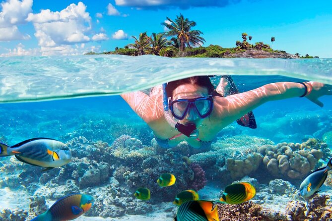 Electric Island Tour with Snorkeling, Lunch & Otoch Mayan Experience - Lunch beside the sea at San Martin Beach