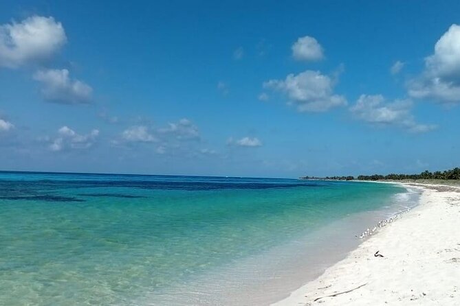 Electric Island Tour with Snorkeling, Lunch & Otoch Mayan Experience - Who will enjoy this tour most