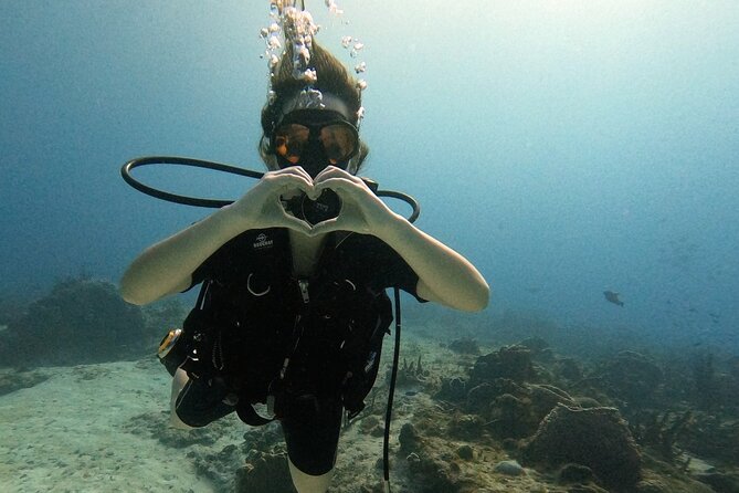 Enjoy two dives without previous experience with a boat trip - A first underwater experience in Cozumel