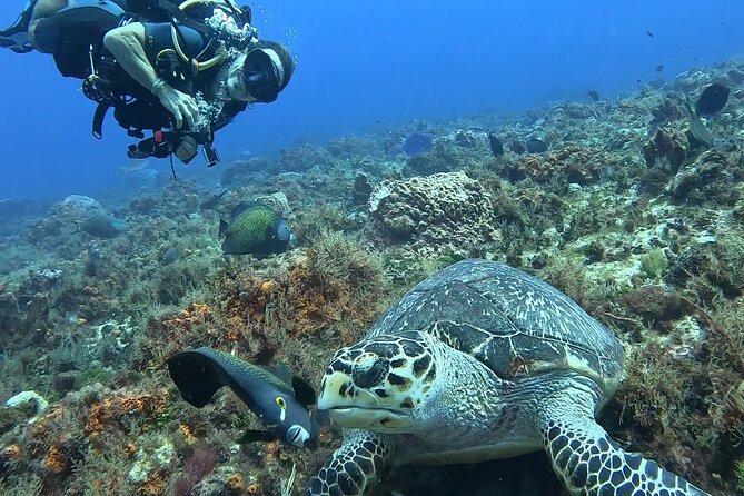 Enjoy two dives without previous experience with a boat trip - What the $227.43 price includes in value