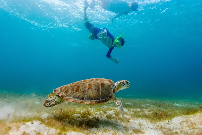 Exclusive Private Boat to El Cielo - Colombia Deep Reef: another short snorkeling stop