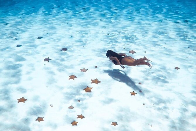 Exploration to El Cielo and Reefs: Live up close with stars - Who will get the most from this Cozumel tour