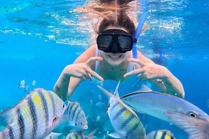 Exploration to El Cielo and Reefs: Live up close with stars - Booking value and cancellation rules