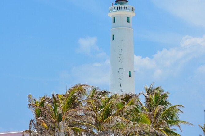 Explore Cozumel on a Buggy: Tour Around the Island! - What kind of group will enjoy this most