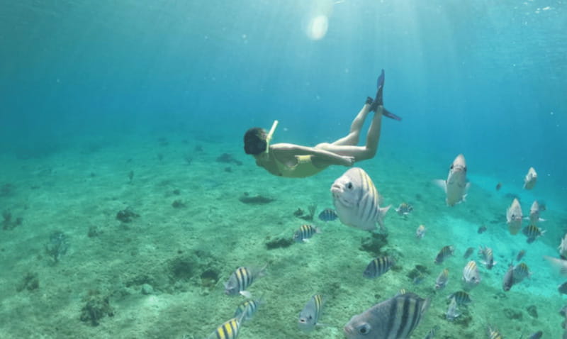 Explore the sea of cozumel in a transprent boat with drinks and snorkel. - The Lego artificial reef and optional snorkeling