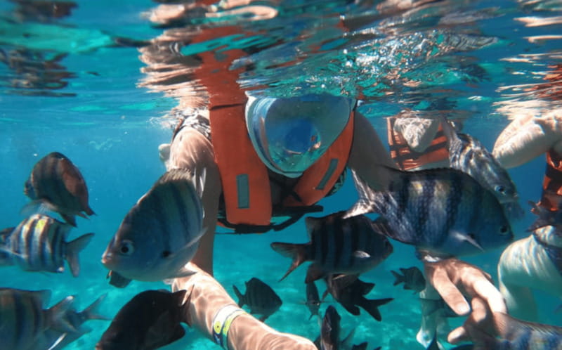 Explore the sea of cozumel in a transprent boat with drinks and snorkel. - What the price really gets you