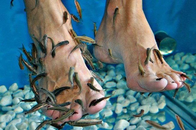 Fish Spa, Beach Break with Lounge Chairs, Umbrellas & Beach Area - A fish spa with a beach day attached