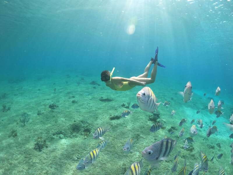 From Cozumel: 3 Reefs Boat Tour with Drinks and Snorkeling - Final verdict: book it for variety and wildlife