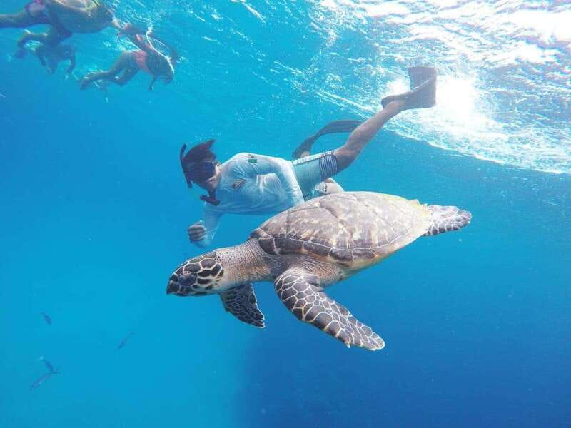 From Cozumel: 3 Reefs Boat Tour with Drinks and Snorkeling - Palancar and Columbia: the best stops for reef life